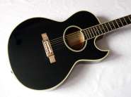 washburn-ea20black.jpg