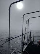 IMG_20170726_162941~2.jpg