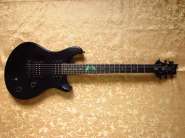 PRS - 1.jpg