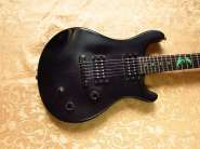 PRS - 2.jpg