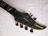 caparison-dellinger-2.jpg