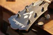 Washburn LP-1.jpg