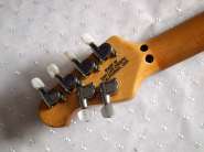 MusicMan_Orange_4.jpg