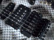 BCRich_SnakeSkin_2.jpg