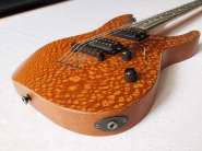 charvel-sd65--san-dimas-style-2001-5.jpg