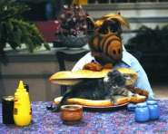 ���� � �����.jpg