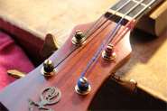 Alembic Series 1_1977-2.jpg