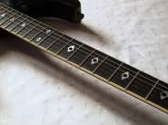 kramer-bluesbreaker-512-3.jpg