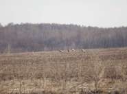 IMG_9594.jpg