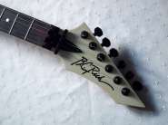 bcrich-gunslinger-wh-2.jpg