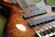 BASS 6 str-2.jpg