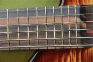 BASS 6 str-6.jpg