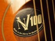 washburn-nv100-8.jpg