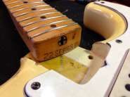 F.strat68-18.jpg