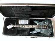 caparison-tatll-snow-storm-1.jpg