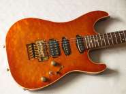 schecter-nevada-1.jpg