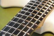 Bass G5-12.jpg