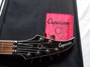 caparison_c2_2.jpg