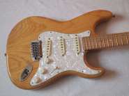 washburn-strat-1.jpg