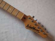 washburn-strat-2.jpg