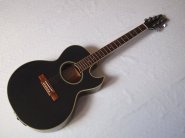 washburn-ea20-black-1.jpg