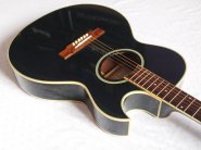 washburn-ea20-black-2.jpg