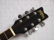 washburn-ea20-black-4.jpg