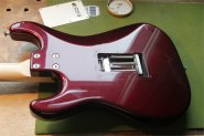 Sdowsky Strat-28.jpg