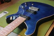 Harley benton PRS-4.jpg