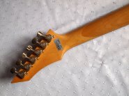 bcrich-custom-5.jpg