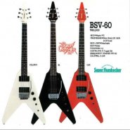 bsv60.jpg