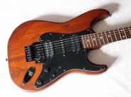 Fender-str110fr-1.jpg
