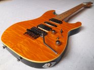 schecter-nevada-2.jpg