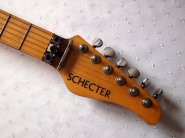 schecter-nevada-4.jpg