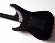 washburn-nuno-n4-2.jpg