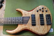 MTD BASS5-8.jpg