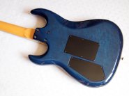 bcrich-custom-blue-4.jpg