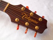 takamine-npt012-4.jpg