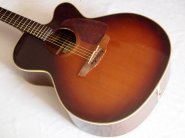 takamine-npt012-6.jpg