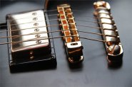 Ibanez JS CHINA-10.jpg