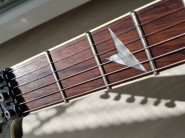 20200829_095455.jpg