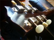 gibson LP Junior 1956-7.JPG