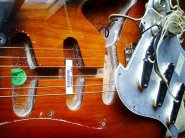 F.strat re62 1999-16.jpg