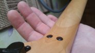 20180312_133256.jpg