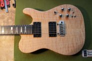 CARVIN-8.jpg