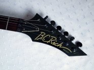 bcrich-stlll-USA-2.jpg