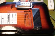 GRETSCH LAP-5.jpg