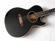 washburn-ea20-black.jpg
