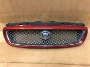 JAGUAR-X-TYPE-LIFT-ATRAPA-GRILL-KRATKA.jpg