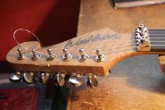 Washburn N4 USA left-1.jpg